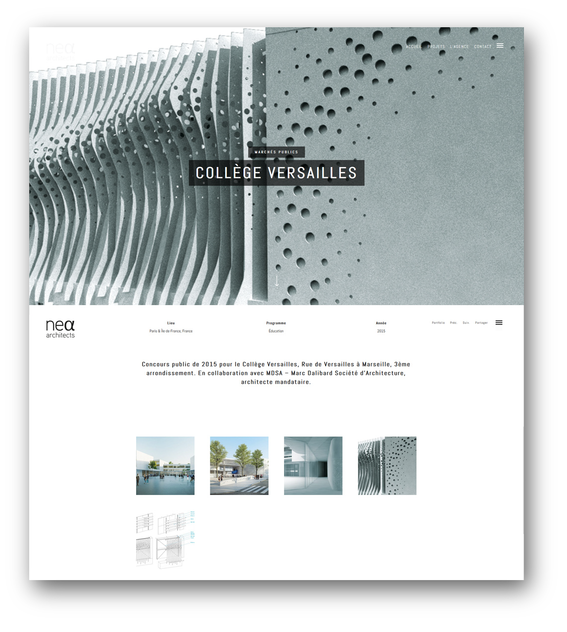 portfolio